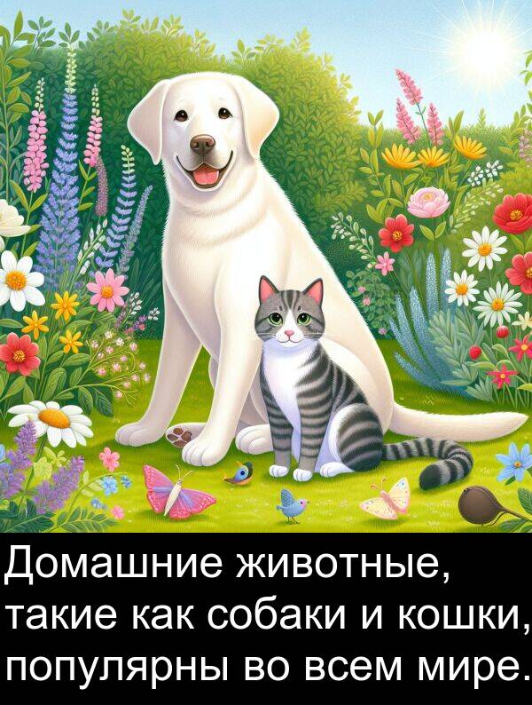 кошки: Домашние животные, такие как собаки и кошки, популярны во всем мире.
