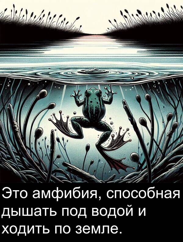 способная: Это амфибия, способная дышать под водой и ходить по земле.