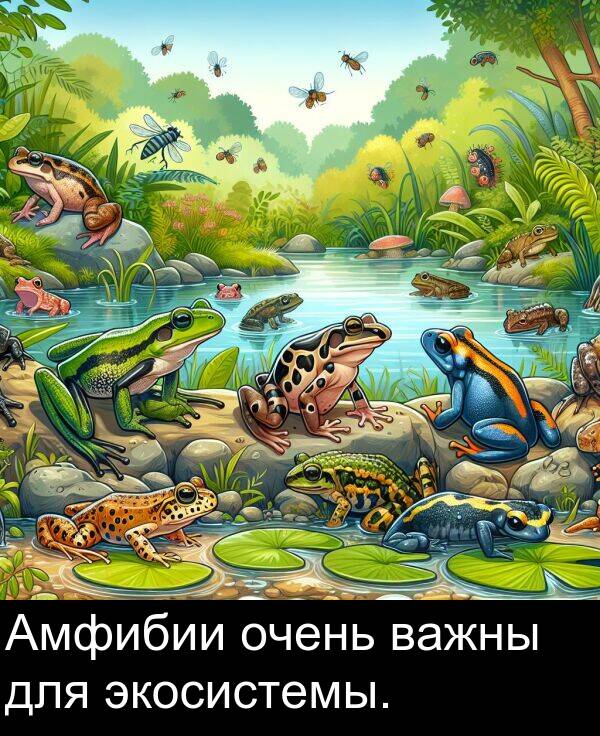 важны: Амфибии очень важны для экосистемы.