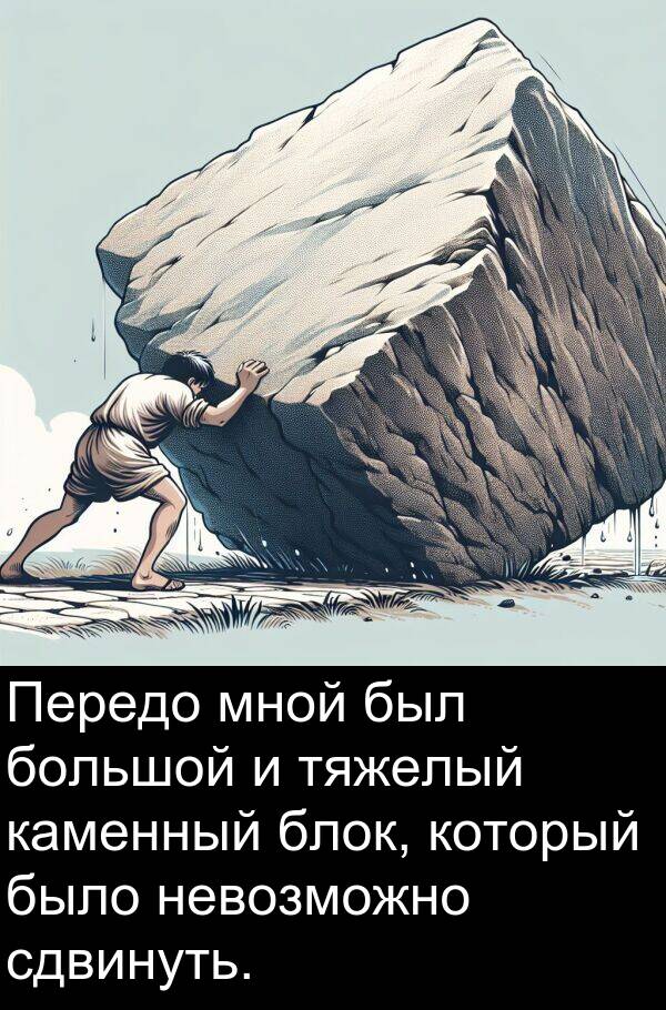 каменный: Передо мной был большой и тяжелый каменный блок, который было невозможно сдвинуть.