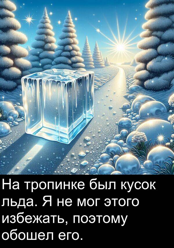 поэтому: На тропинке был кусок льда. Я не мог этого избежать, поэтому обошел его.