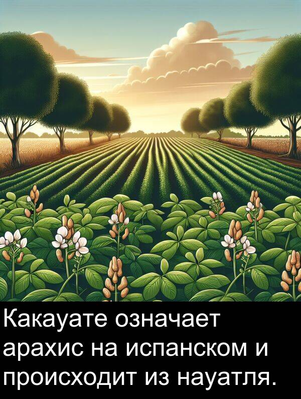 происходит: Какауате означает арахис на испанском и происходит из науатля.