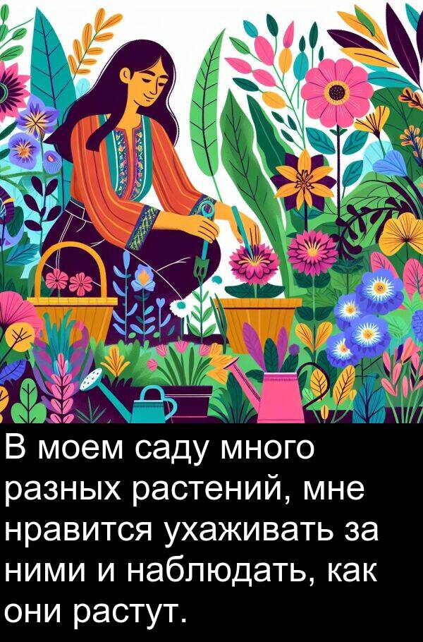 саду: В моем саду много разных растений, мне нравится ухаживать за ними и наблюдать, как они растут.