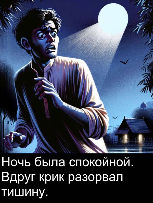 крик: Ночь была спокойной. Вдруг крик разорвал тишину.