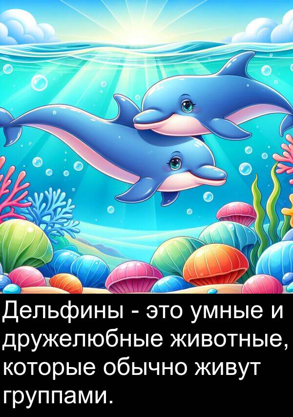 которые: Дельфины - это умные и дружелюбные животные, которые обычно живут группами.