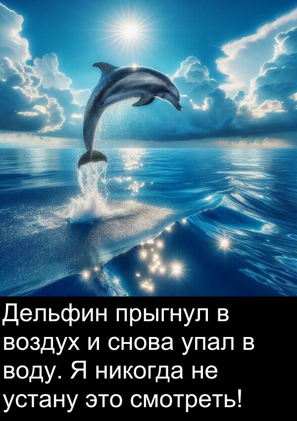 прыгнул: Дельфин прыгнул в воздух и снова упал в воду. Я никогда не устану это смотреть!