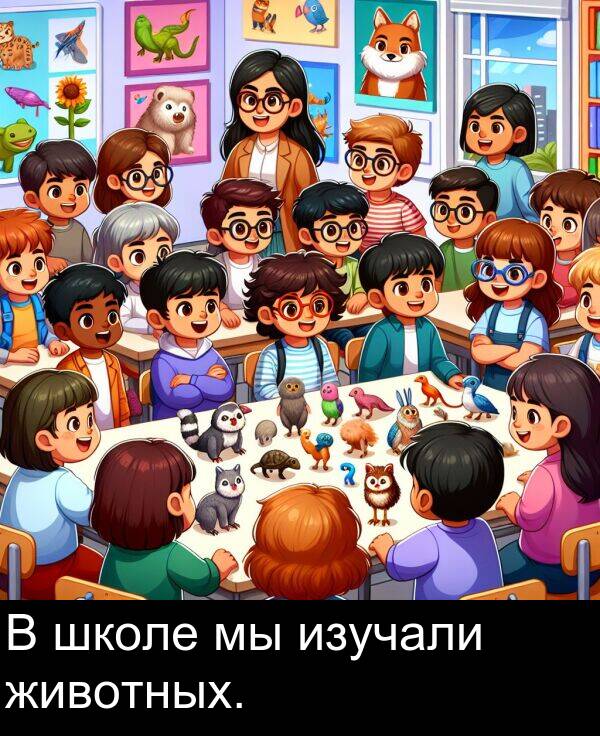 животных: В школе мы изучали животных.