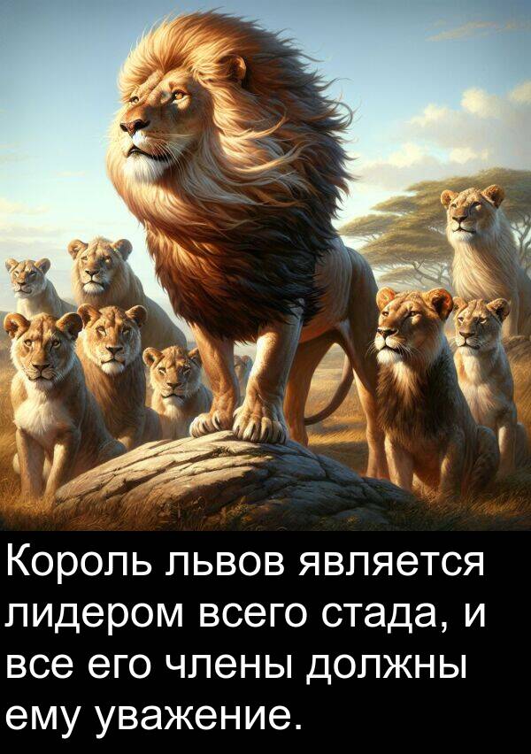 уважение: Король львов является лидером всего стада, и все его члены должны ему уважение.