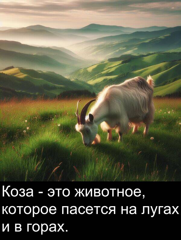 которое: Коза - это животное, которое пасется на лугах и в горах.
