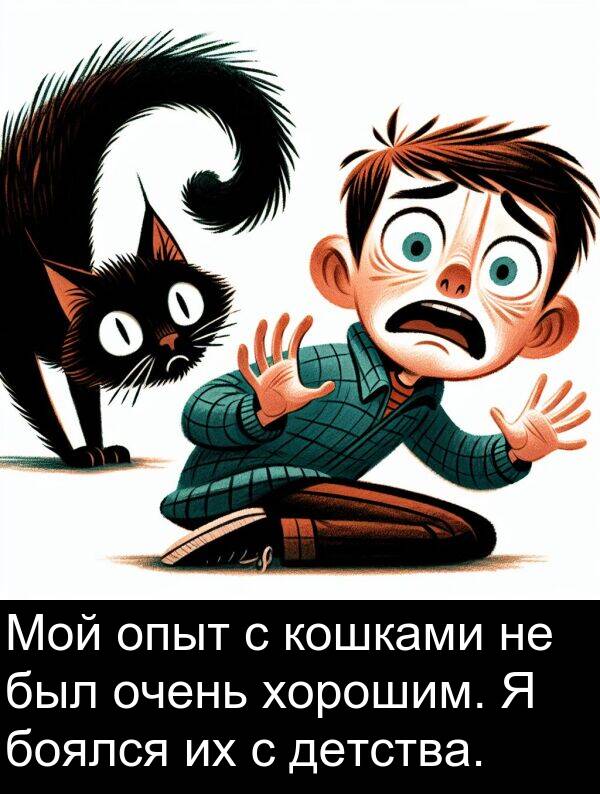 кошками: Мой опыт с кошками не был очень хорошим. Я боялся их с детства.