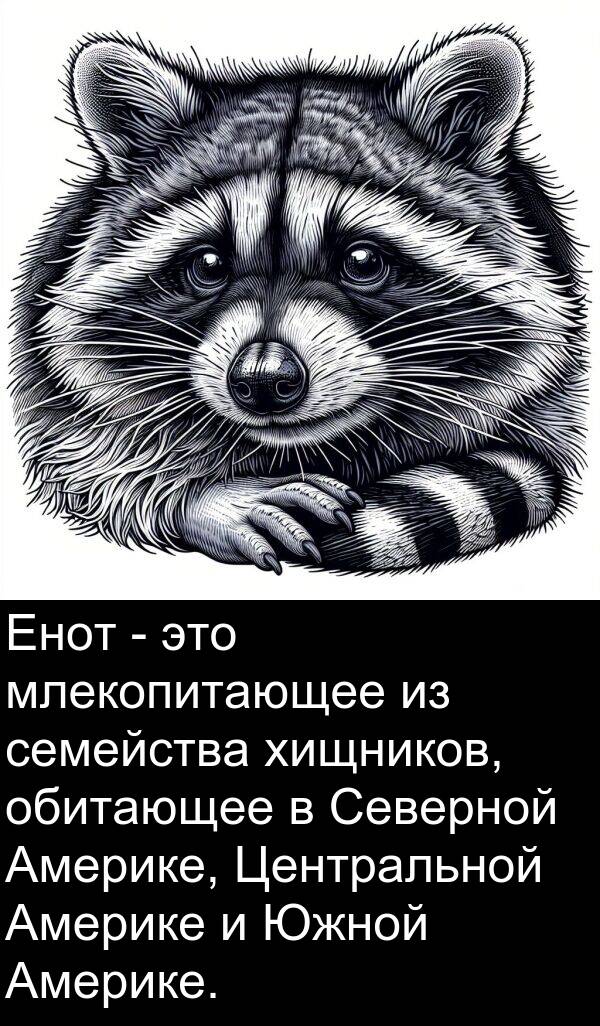 обитающее: Енот - это млекопитающее из семейства хищников, обитающее в Северной Америке, Центральной Америке и Южной Америке.
