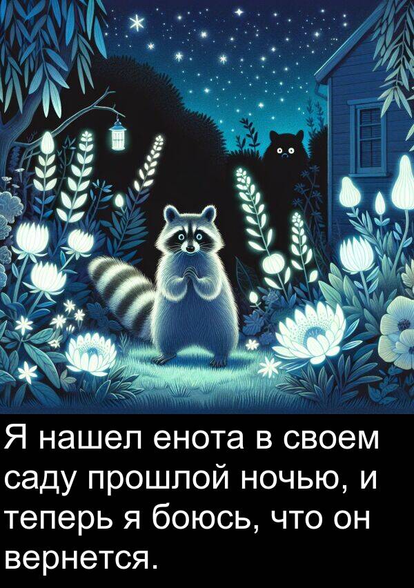 прошлой: Я нашел енота в своем саду прошлой ночью, и теперь я боюсь, что он вернется.