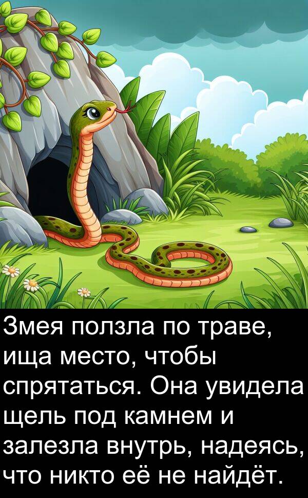 камнем: Змея ползла по траве, ища место, чтобы спрятаться. Она увидела щель под камнем и залезла внутрь, надеясь, что никто её не найдёт.