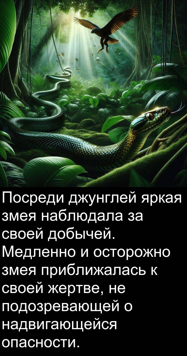 наблюдала: Посреди джунглей яркая змея наблюдала за своей добычей. Медленно и осторожно змея приближалась к своей жертве, не подозревающей о надвигающейся опасности.