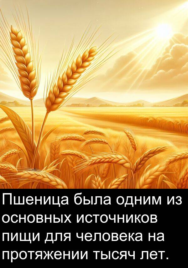 протяжении: Пшеница была одним из основных источников пищи для человека на протяжении тысяч лет.