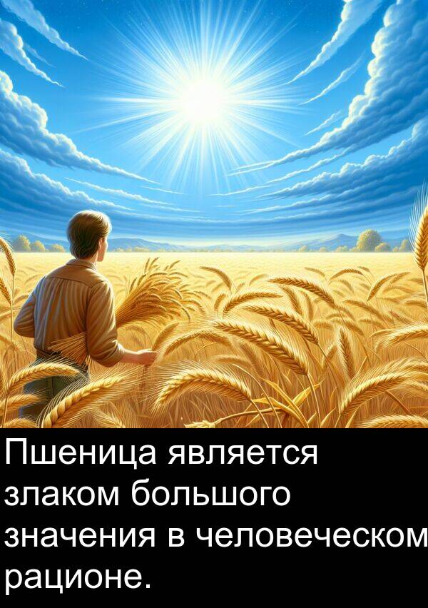 человеческом: Пшеница является злаком большого значения в человеческом рационе.