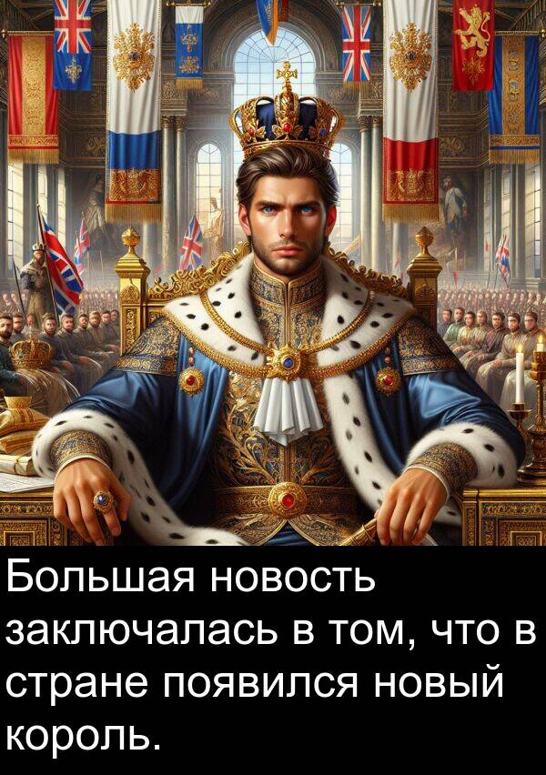 появился: Большая новость заключалась в том, что в стране появился новый король.