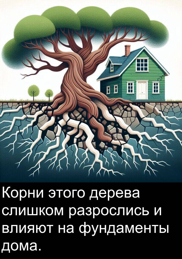 влияют: Корни этого дерева слишком разрослись и влияют на фундаменты дома.