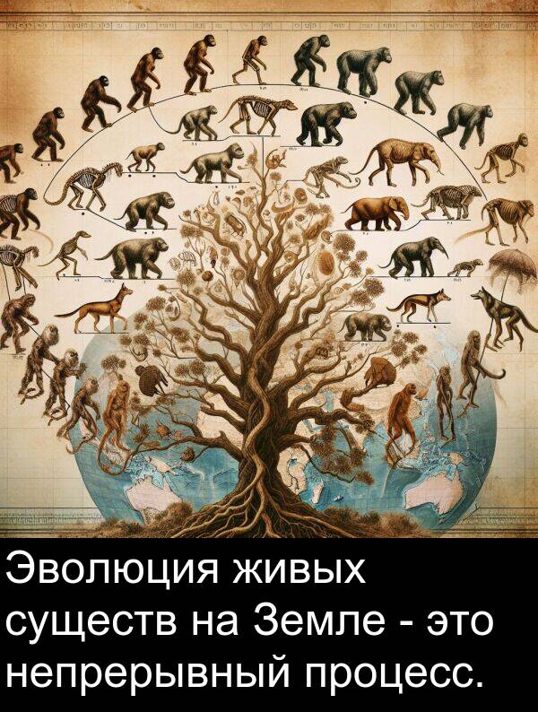 процесс: Эволюция живых существ на Земле - это непрерывный процесс.