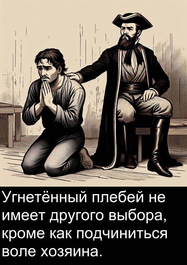 кроме: Угнетённый плебей не имеет другого выбора, кроме как подчиниться воле хозяина.