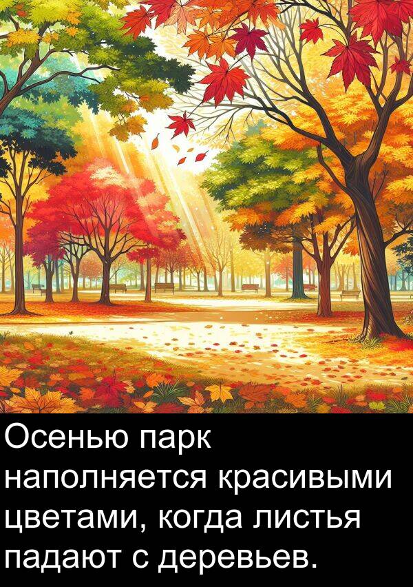 красивыми: Осенью парк наполняется красивыми цветами, когда листья падают с деревьев.