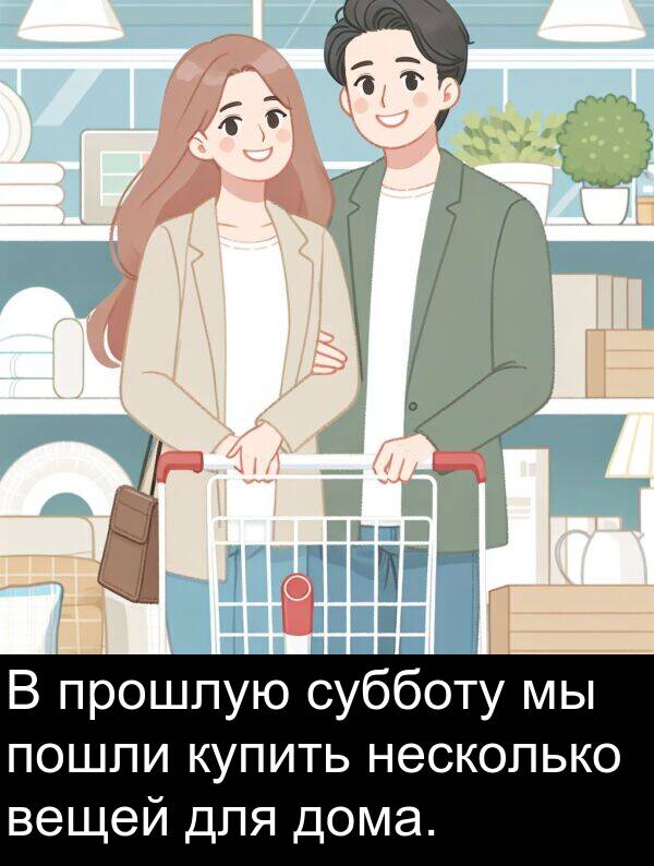прошлую: В прошлую субботу мы пошли купить несколько вещей для дома.