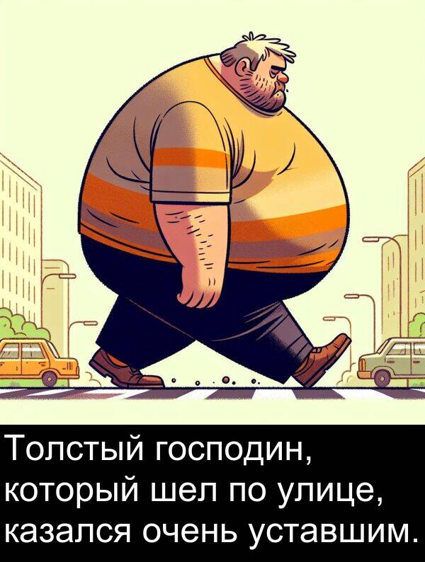 который: Толстый господин, который шел по улице, казался очень уставшим.