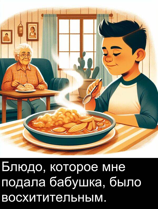 которое: Блюдо, которое мне подала бабушка, было восхитительным.