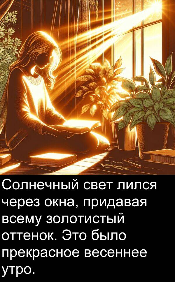 придавая: Солнечный свет лился через окна, придавая всему золотистый оттенок. Это было прекрасное весеннее утро.