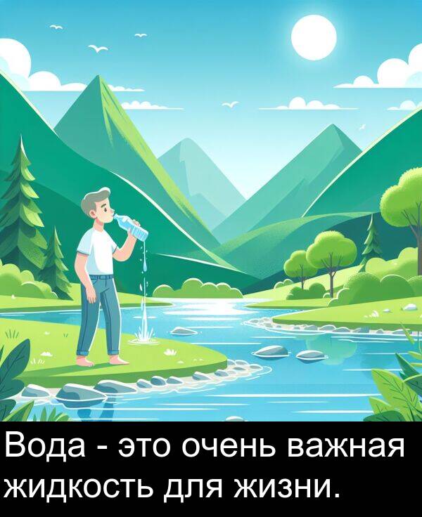 важная: Вода - это очень важная жидкость для жизни.