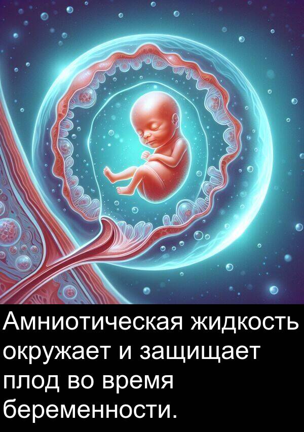 беременности: Амниотическая жидкость окружает и защищает плод во время беременности.