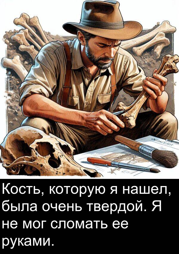которую: Кость, которую я нашел, была очень твердой. Я не мог сломать ее руками.