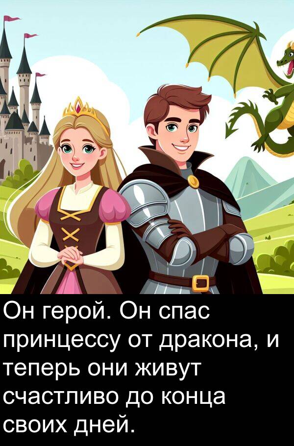 конца: Он герой. Он спас принцессу от дракона, и теперь они живут счастливо до конца своих дней.