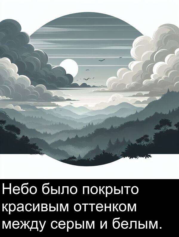 красивым: Небо было покрыто красивым оттенком между серым и белым.