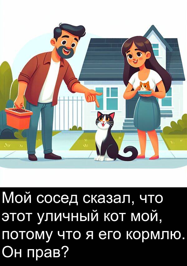 потому: Мой сосед сказал, что этот уличный кот мой, потому что я его кормлю. Он прав?