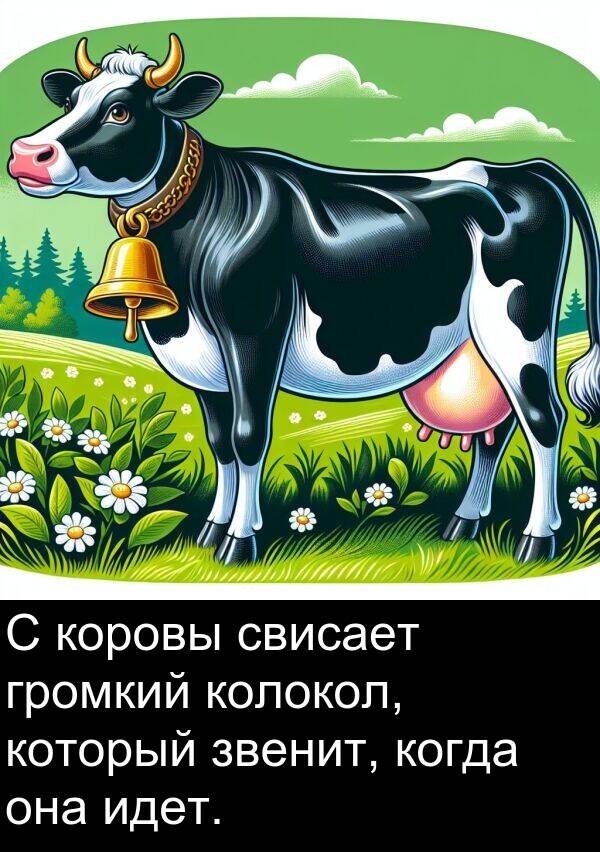 колокол: С коровы свисает громкий колокол, который звенит, когда она идет.