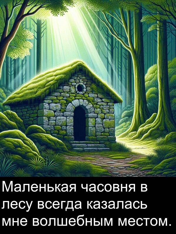 часовня: Маленькая часовня в лесу всегда казалась мне волшебным местом.