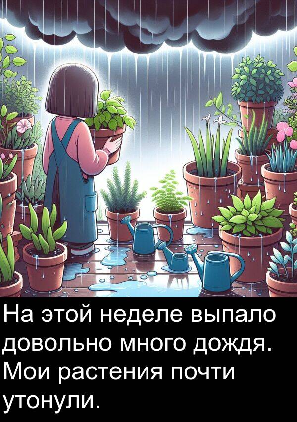 почти: На этой неделе выпало довольно много дождя. Мои растения почти утонули.
