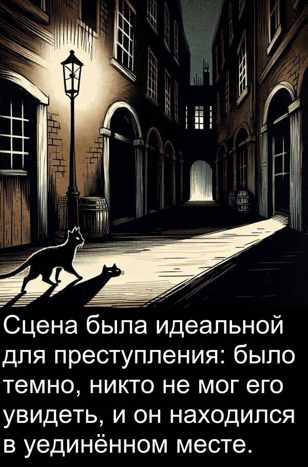 преступления: Сцена была идеальной для преступления: было темно, никто не мог его увидеть, и он находился в уединённом месте.