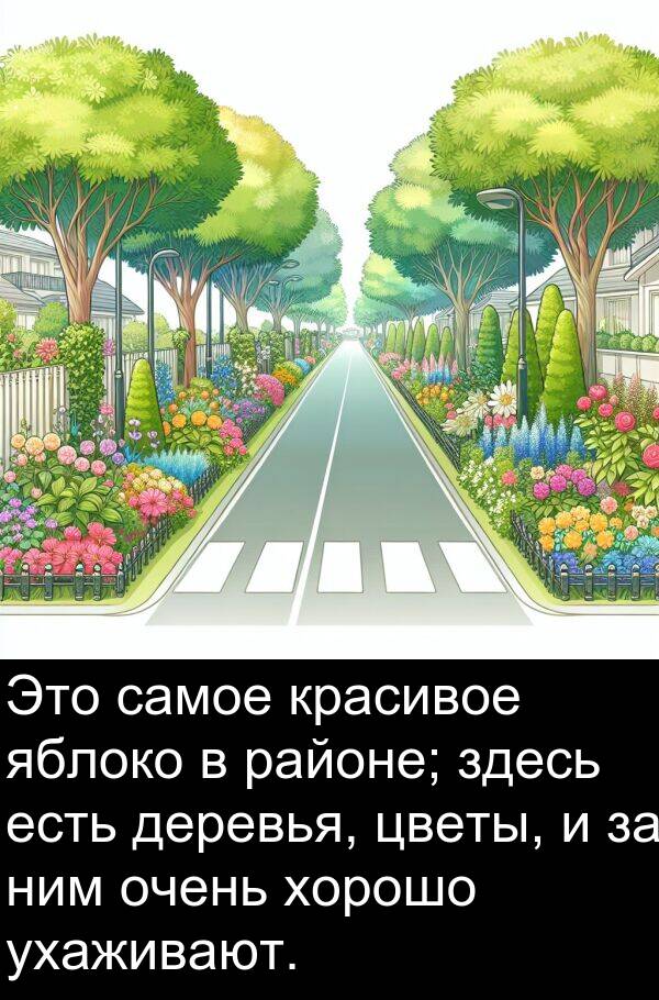 красивое: Это самое красивое яблоко в районе; здесь есть деревья, цветы, и за ним очень хорошо ухаживают.