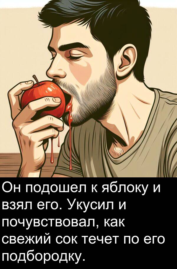 почувствовал: Он подошел к яблоку и взял его. Укусил и почувствовал, как свежий сок течет по его подбородку.