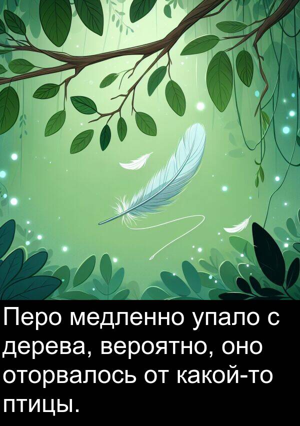 вероятно: Перо медленно упало с дерева, вероятно, оно оторвалось от какой-то птицы.