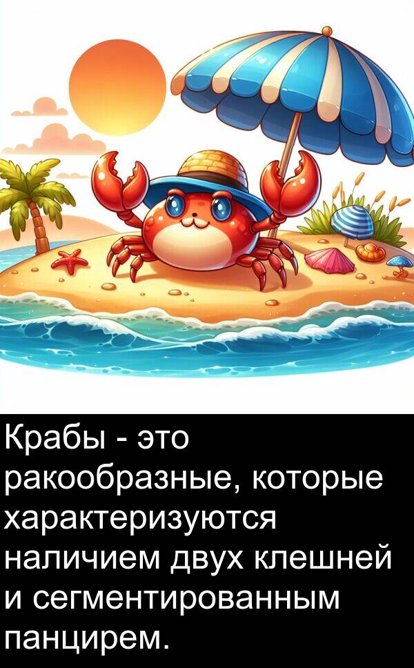 клешней: Крабы - это ракообразные, которые характеризуются наличием двух клешней и сегментированным панцирем.