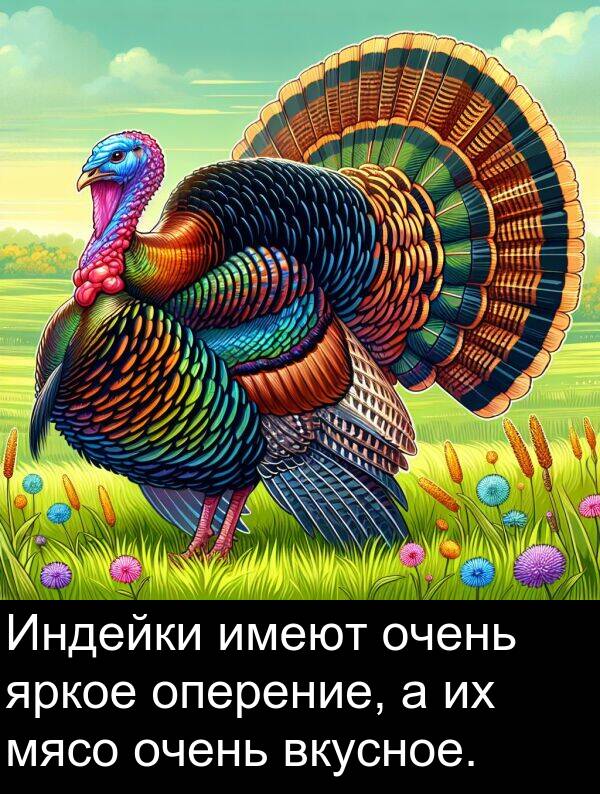 вкусное: Индейки имеют очень яркое оперение, а их мясо очень вкусное.