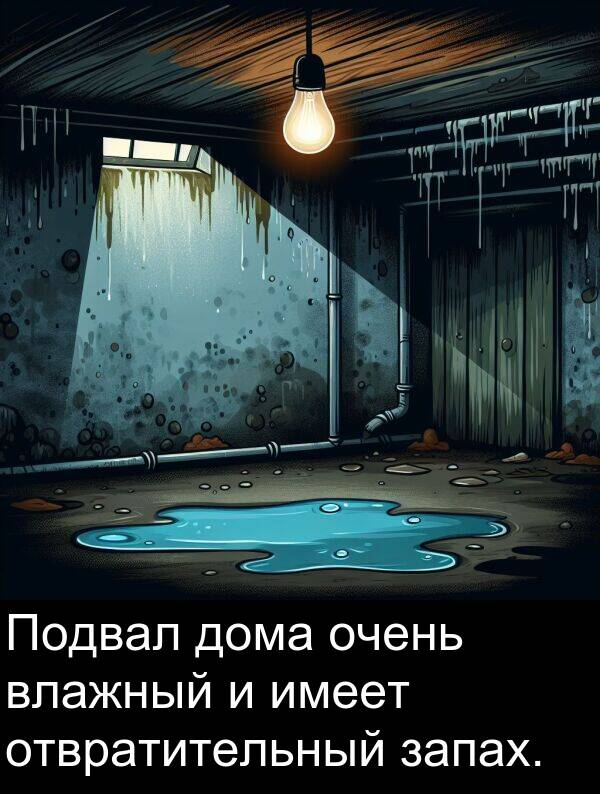 влажный: Подвал дома очень влажный и имеет отвратительный запах.