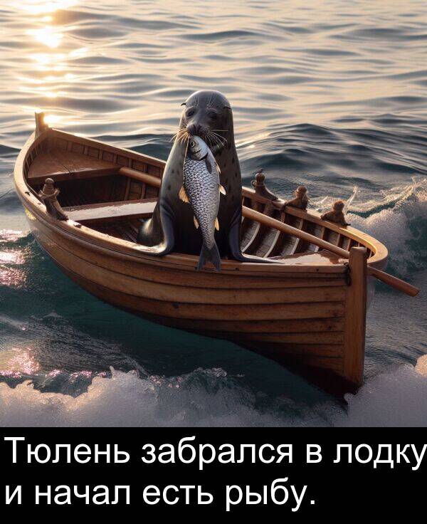 есть: Тюлень забрался в лодку и начал есть рыбу.