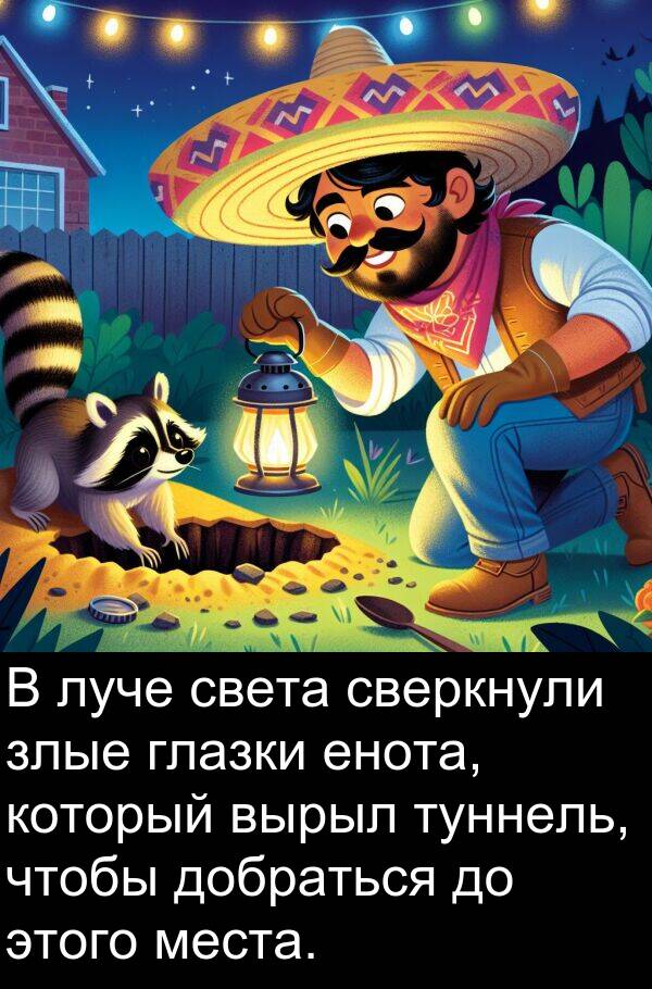 света: В луче света сверкнули злые глазки енота, который вырыл туннель, чтобы добраться до этого места.