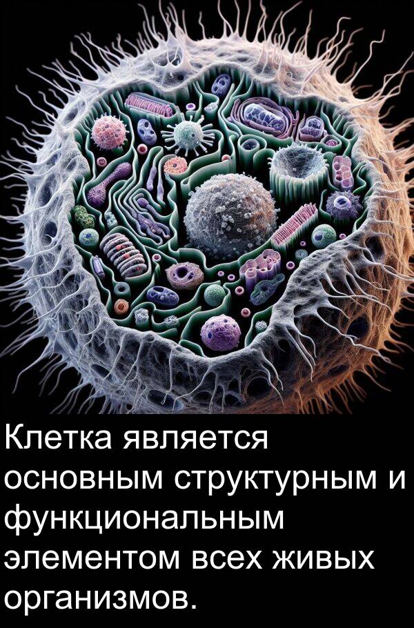 структурным: Клетка является основным структурным и функциональным элементом всех живых организмов.