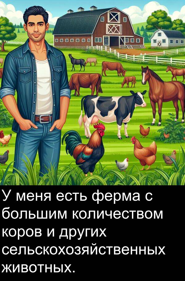количеством: У меня есть ферма с большим количеством коров и других сельскохозяйственных животных.
