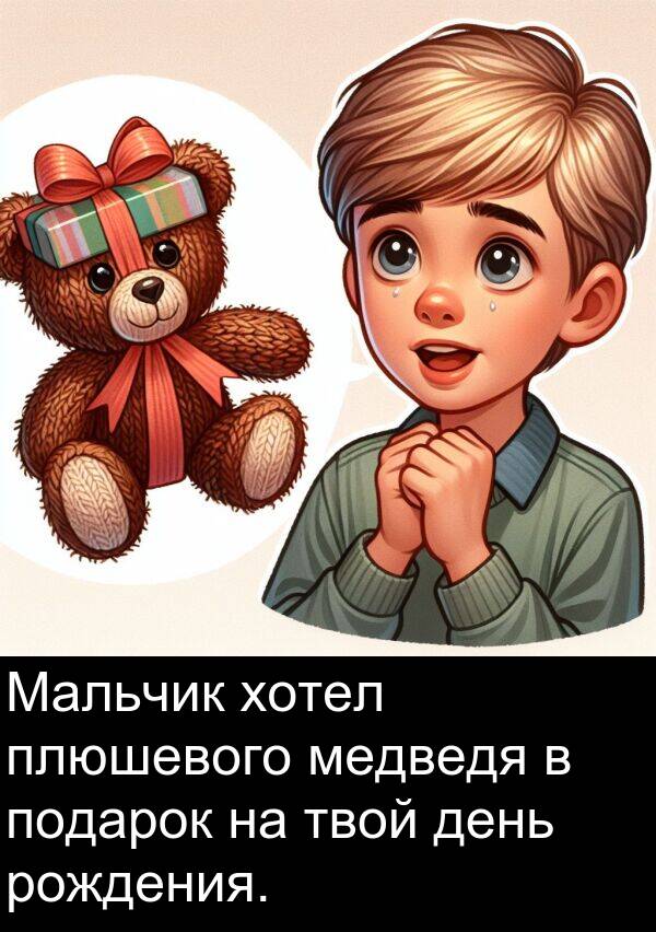 твой: Мальчик хотел плюшевого медведя в подарок на твой день рождения.